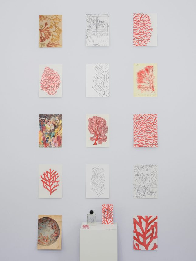 Les Essences de Diptyque - Atelier LUM