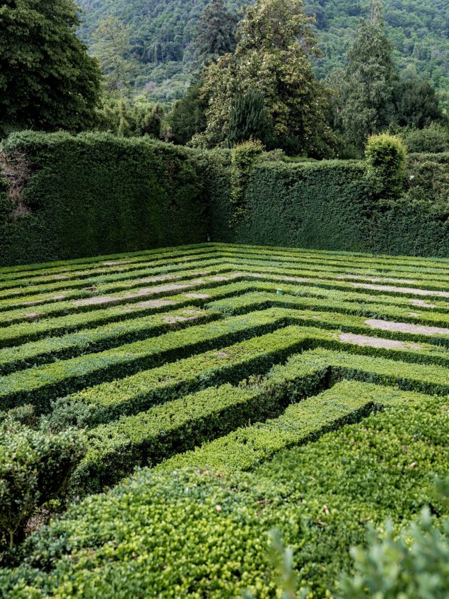 Summer Event - Atelier LUM